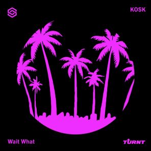 KOSK – Wait What