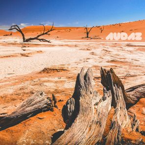 Alkalino – The Rhythm Is Hot