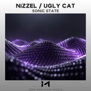 Nizzel, Ugly Cat – Sonic State