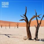 Squib – Okahandja