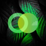 bod:mod, ANASTASiiA – Smash That