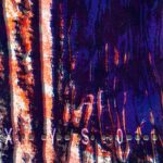 Justine Perry – Transit Motion