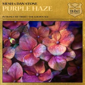 Dan Stone, Mesh – Purple Haze