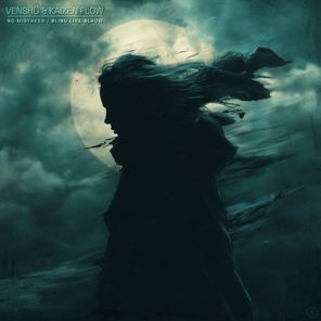 Kaizen Flow, Venshü – No Mistakes / Bling Like Blaow