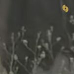 Oura – Another World