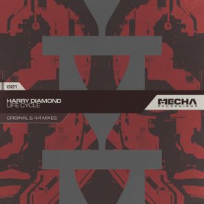 Harry Diamond – Life Cycle