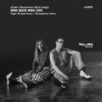 Tiger Stripes, Albert Marzinotto - More Beats More Love (Remixes) 3 Tiger Stripes, Albert Marzinotto – More Beats More Love (Remixes)