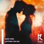 Moe Turk – Letting You Go