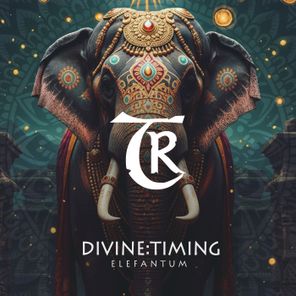 Lex Laurence, DIVINE:TIMING – Elefantum