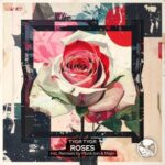 Plunk.ton, TYGR TYGR – Roses