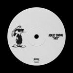 Adult Swing – Hot