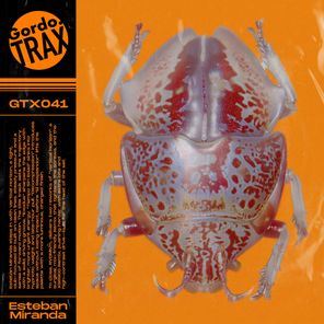 Esteban Miranda, RVDMNTL – Vertical Horizon