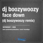 DJ BoozyWoozy – Face Down (DJ BoozyWoozy Remix)
