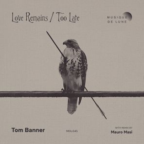 Mauro Masi, Tom Banner – Love Remains / Too Late