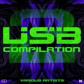Stephan Strube, Sutura – Usb Compilation #2