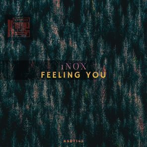 1nox – Feeling You