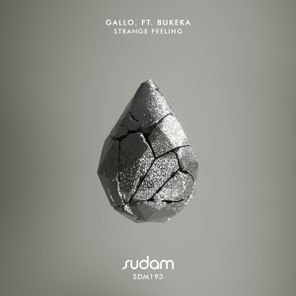 Bukeka, Gallo. – Strange Feeling