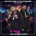 Playbass, DataFunk – Want Me