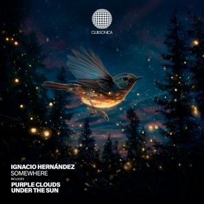 Ignacio Hernández – Somewhere