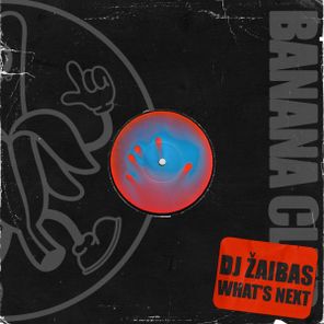 Dj žaibas – What´s Next