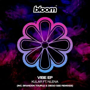 Brandon Tourle, Diego Gee (UK) – Vibe EP