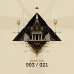 Rodri XXX – 993 / 021