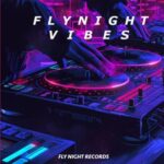 Walter Gardini – Flynight Vibes