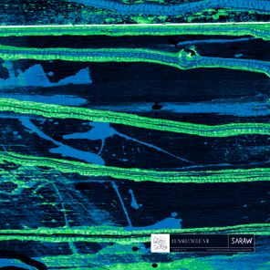 Yuuki Hori, Approx – Lunar Cycle VII