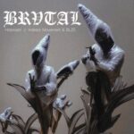 Indirect Movement, Hidonash – BHIM