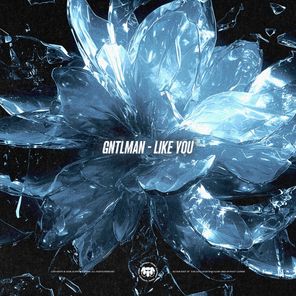 GNTLMAN – Like You
