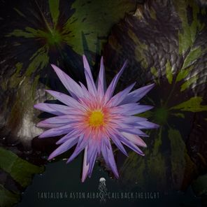 Aston Alba, Tantalon – Call Back the Light