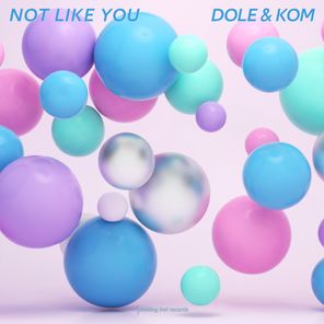 Dole & Kom – Not Like You