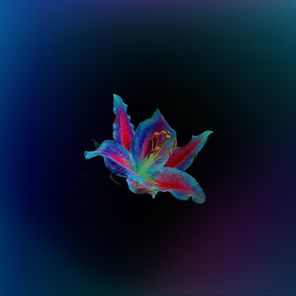 Jynxi – What You Do