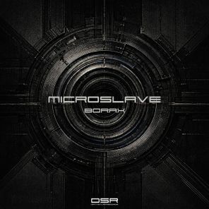 Microslave - Borax 1 Microslave – Borax