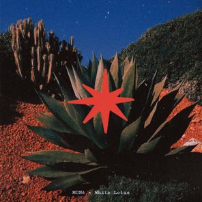 MONé (IN) – White Lotus
