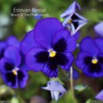 dc46567f 68ee 4785 8242 3633ba0eba82