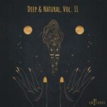 Martin Banegas, Alejo Fochi – Deep & Natural, Vol. 11