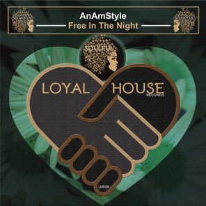 AnAmStyle – Free in the Night
