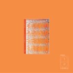Jeigo – Shattered Frequencies