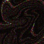 KYNRC., HU. – 345×6810