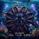 Pilgrim – On the Sea