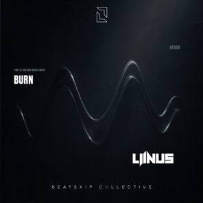 Liinus – Burn