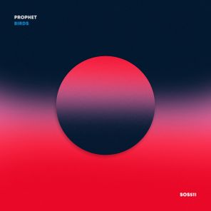 Prophet – Birds
