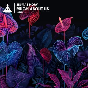 Seumas Norv – Much About Us