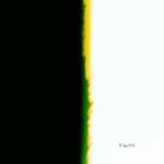 PLNTDDY – Circo Animatrònico