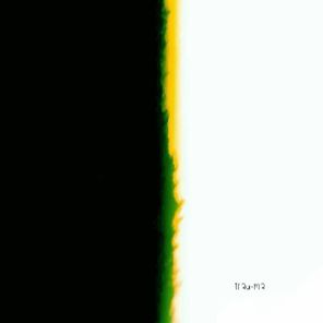 PLNTDDY – Circo Animatrònico