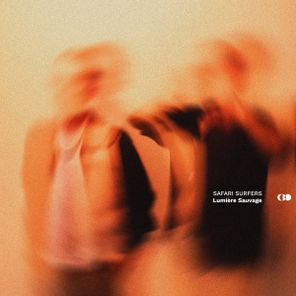SAFARI SURFERS – Lumière Sauvage