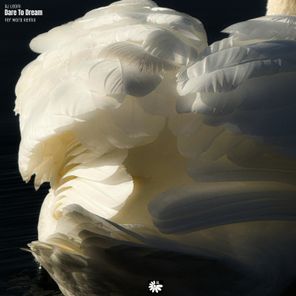 Fer Mora, Dj Leoni – Dare to Dream (Fer Mora Remix)