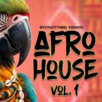 Salade Tomate, Afro Carrib - Afro House, Vol. 1 3 Salade Tomate, Afro Carrib – Afro House, Vol. 1