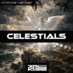 Digital Industries – Celestials